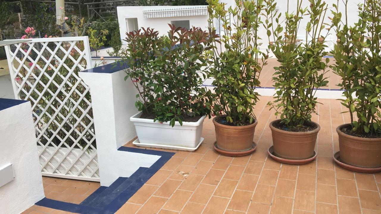 Panorama Da Cartolina Apartamento Ísquia Exterior foto